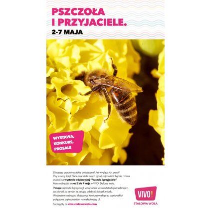 Wystawa "Pszczoła i przyjaciele" w VIVO! Stalowa Wola
