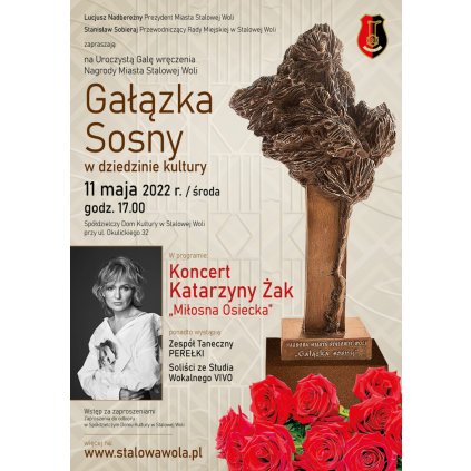 Gala wręczenia nagrody - "Gałązka Sosny" w dziedzinie kultury - STW