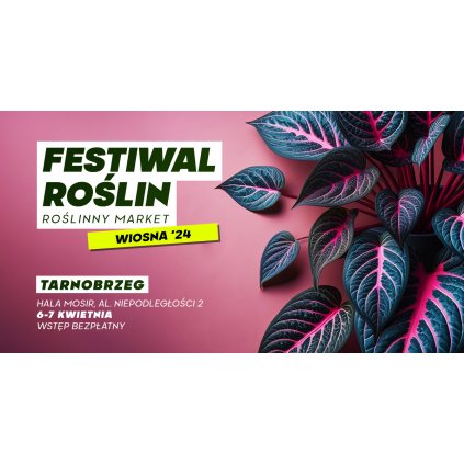 Festiwal Roślin - wielki market roślin - Tarnobrzeg